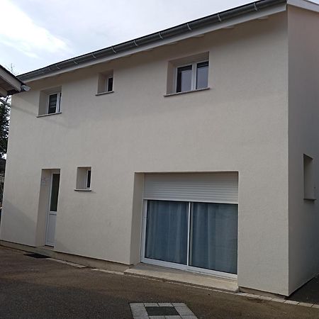 Maison De Ville Avec Jardin-Reve A Rixheim! Ngoại thất bức ảnh